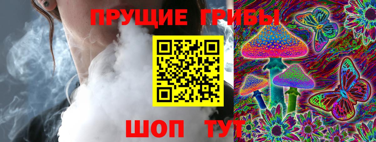 Псилоцибиновые грибы мицелий Коряжма