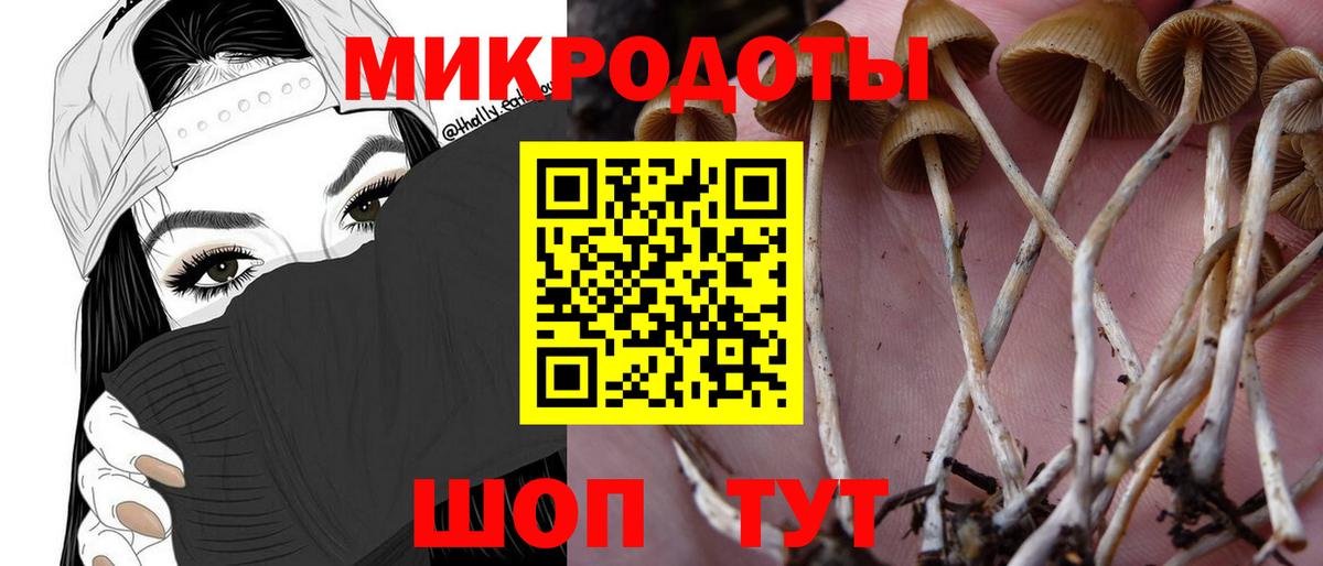 Галлюциногенные грибы Psilocybe  Вход с VPN  Псилоцибиновые грибы Psilocybine cubensis  Коряжма 